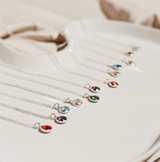 Birthstone Drop Necklace • January